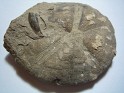 Unknown  Spain. Uploaded by Granotius